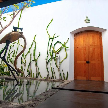 Casa Carmen Xolotl Hotell Oaxaca Eksteriør bilde