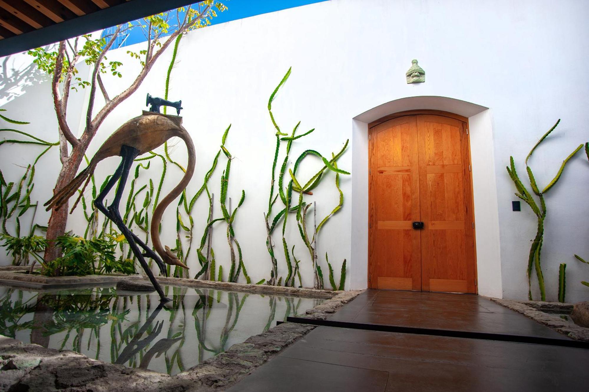 Casa Carmen Xolotl Hotell Oaxaca Eksteriør bilde